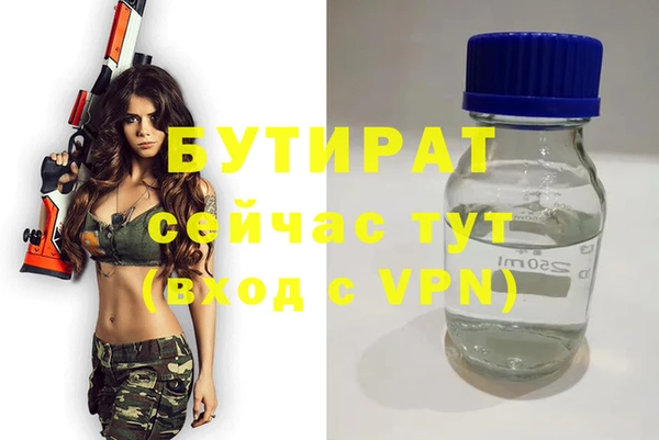сатива Сосновка