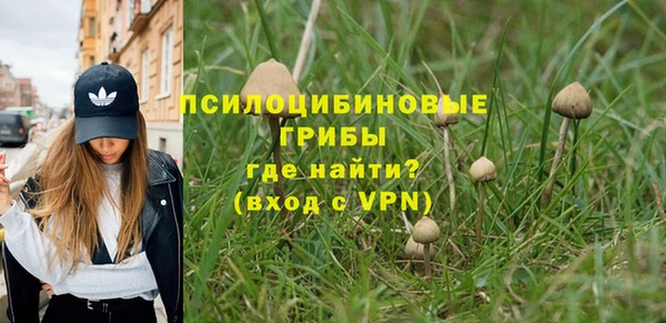 винт Богданович