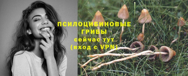 ALPHA-PVP Сосновый Бор