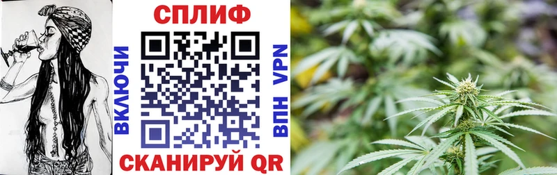 ссылка на мегу tor  Харовск  Канабис планчик  купить наркоту 